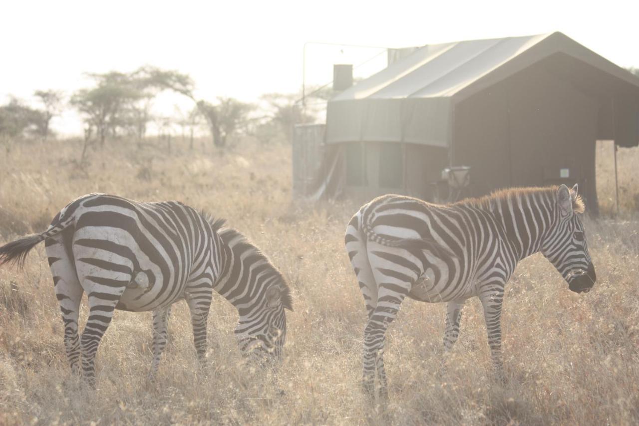 Kananga Special Tented Camp Banagi Exteriör bild