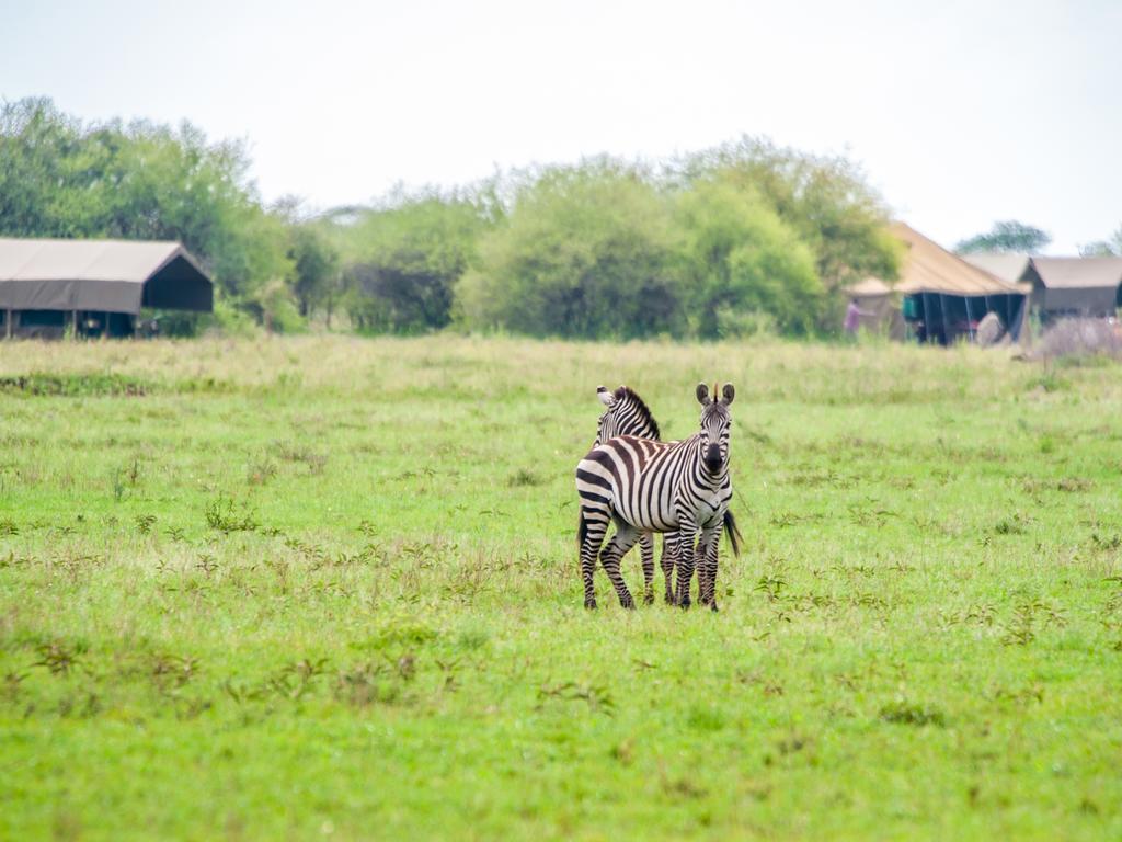 Kananga Special Tented Camp Banagi Exteriör bild